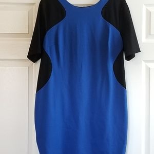 Lane Bryant Color Block Dress